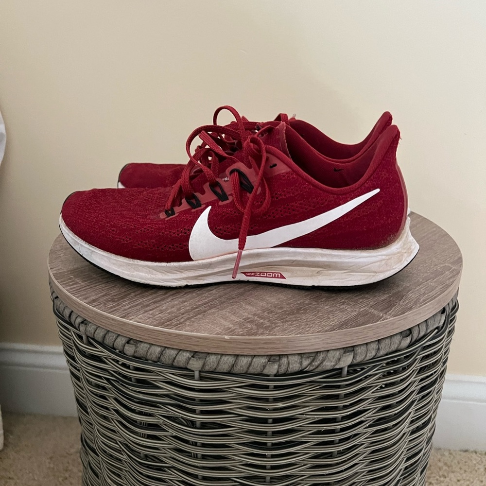 Nike Zoom Pegasus